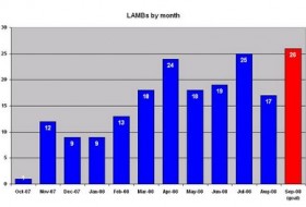 LAMB Report #7