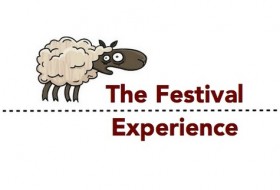 The Festival Experience: What would you like to see next?