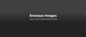 LAMB #1905 – Animaus Images